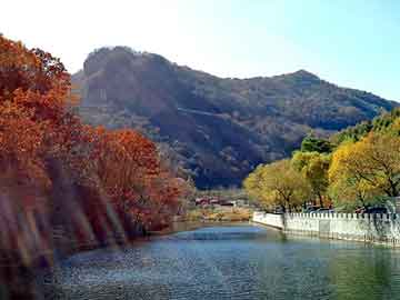 澳门二四六天天彩图库，洋浦天涯论坛